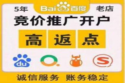 网络推广中的竞价广告：成功案例解析